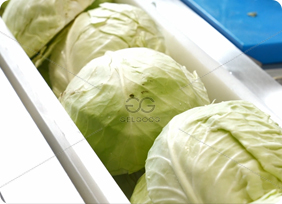 vegetable selecting