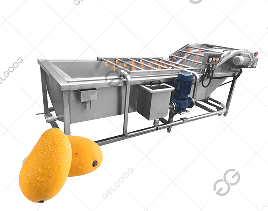 fruit cleaning machine