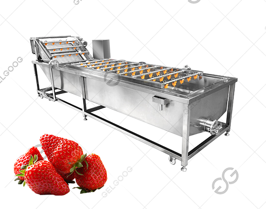 industrial fruit washing machine