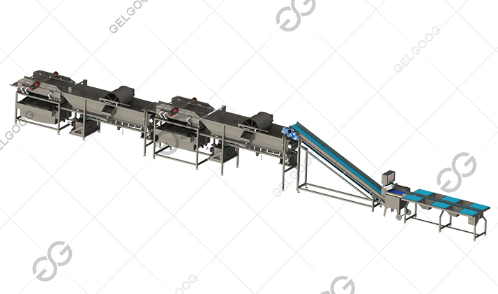 leafy vegetable processing line
