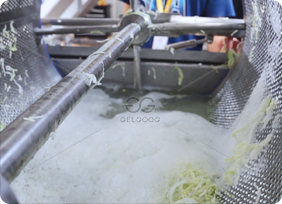 vegetable washing
