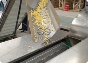 vegetable cutting