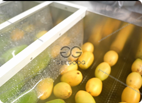 mango washing
