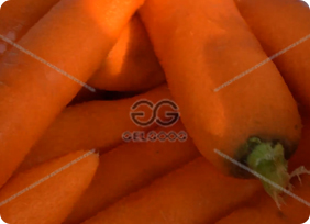 Vegetable washing