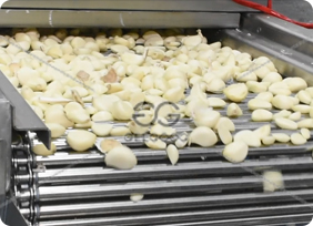 garlic peeling