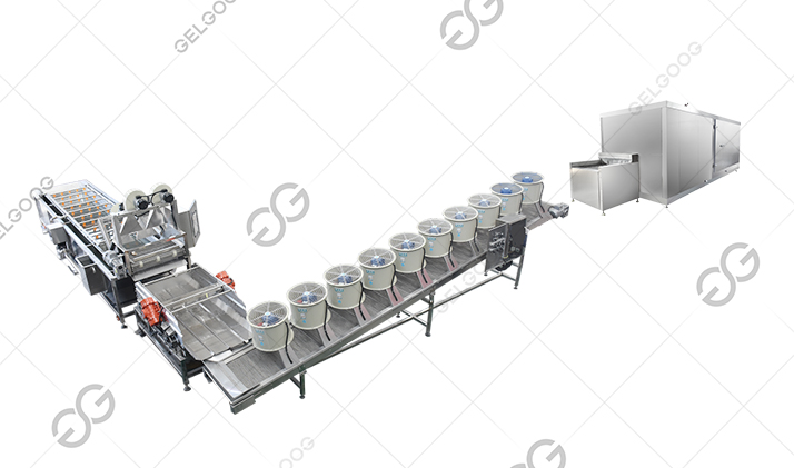 avocado freezing machine