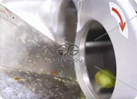 Avocado cutting