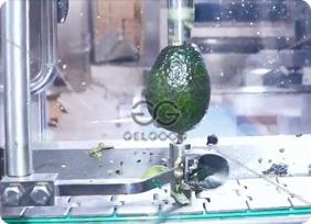 Avocado peeling