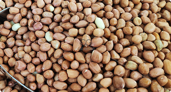 Roasted peanut