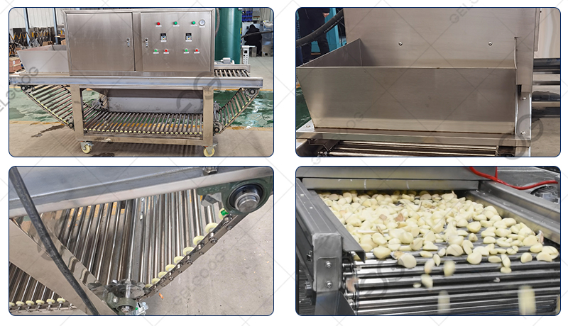 garlic peeling machine manufacturer