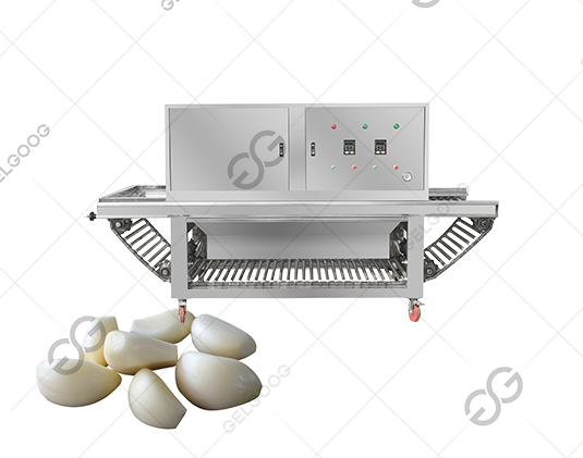 garlic peeling machine