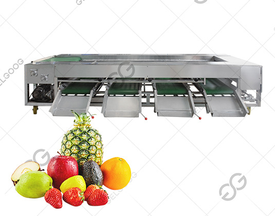citrus sorting machine