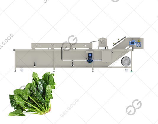 automatic vegetable washing machine