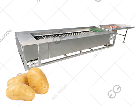 automatic grading machine