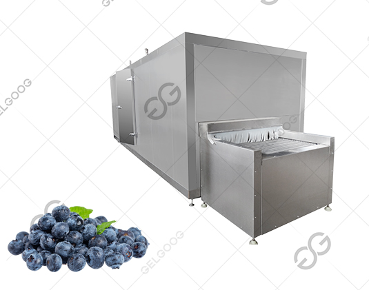 iqf freezing machine