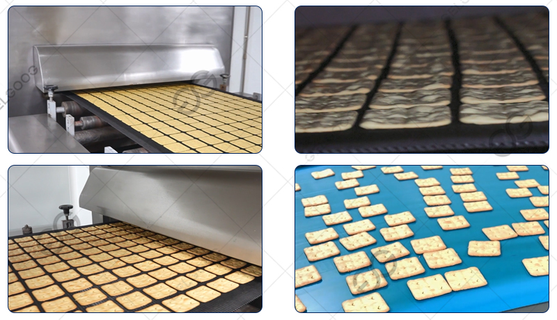 biscuit baking process