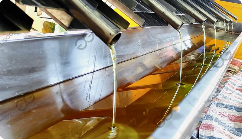 cocoa bean oil press machine