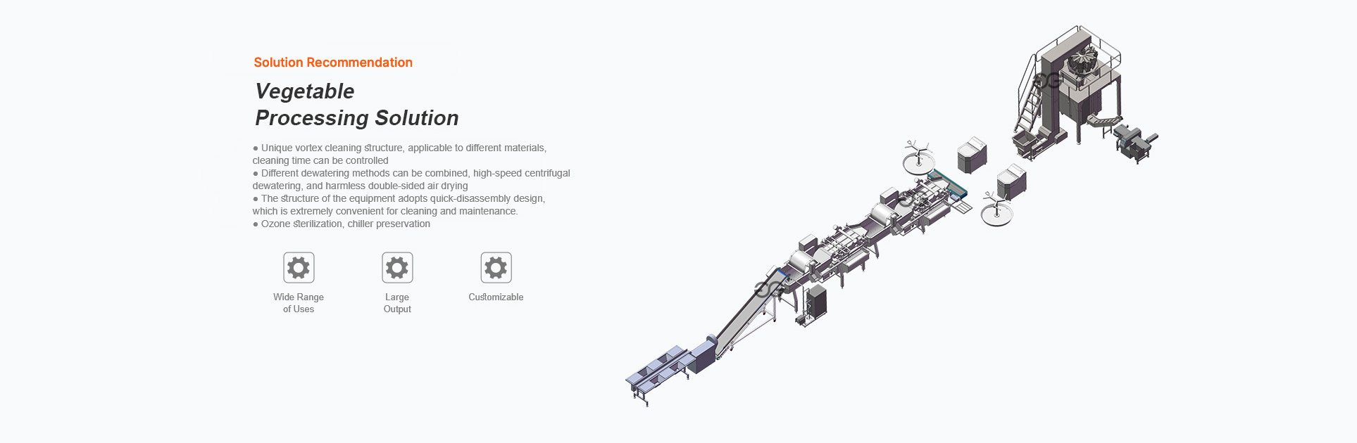 vegetable processing line