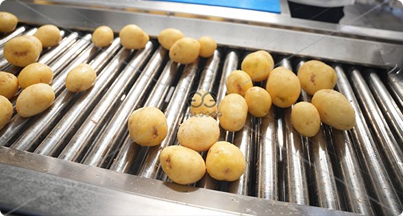 potato-chips.jpg