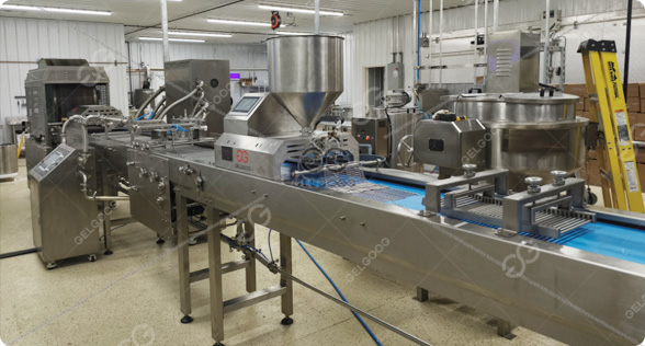 spring roll making plant