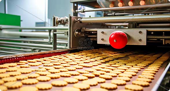 biscuit production