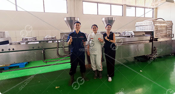 Spring Roll Production Line Indonesia